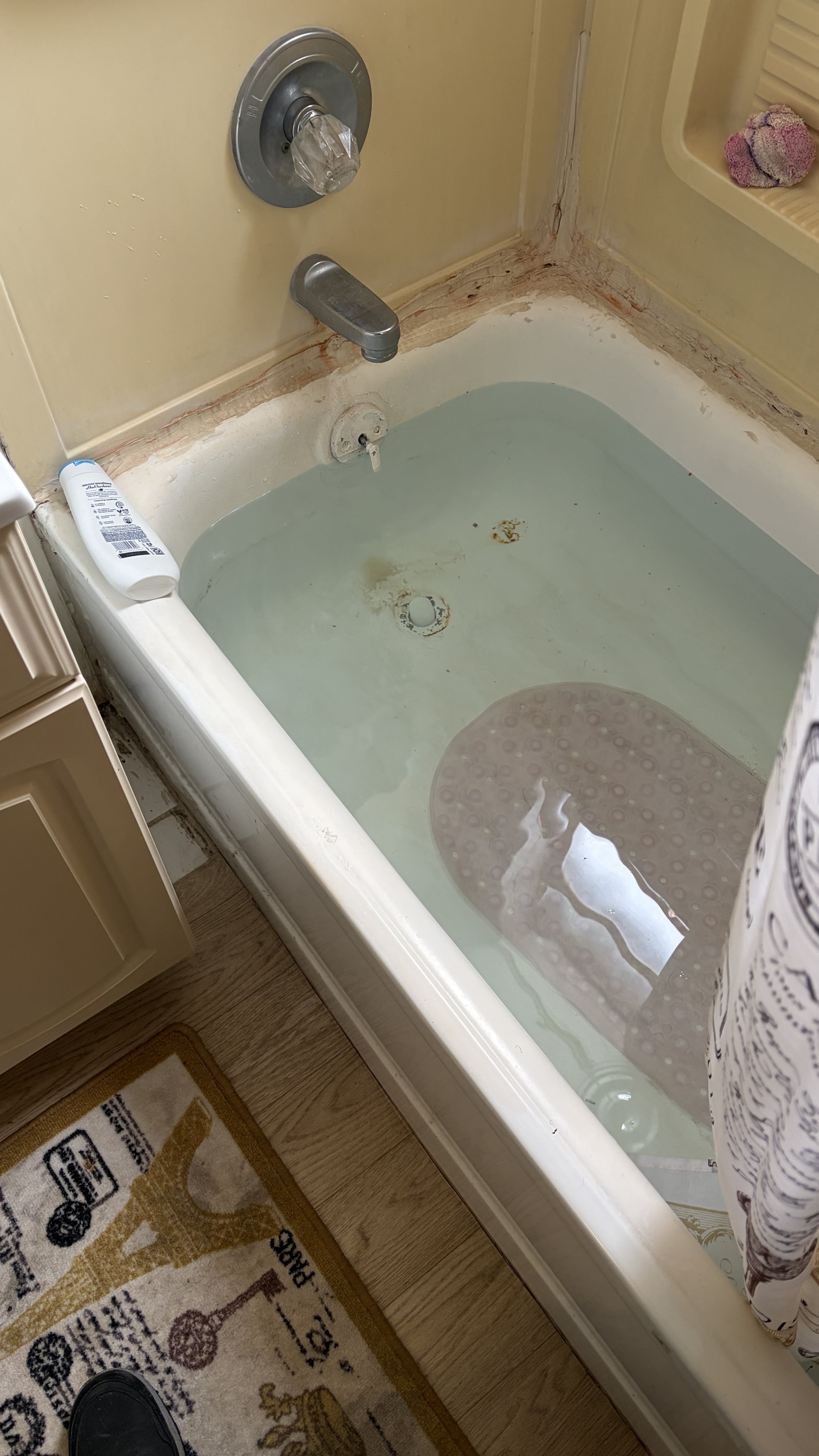 Complete Master Bathroom Renovation