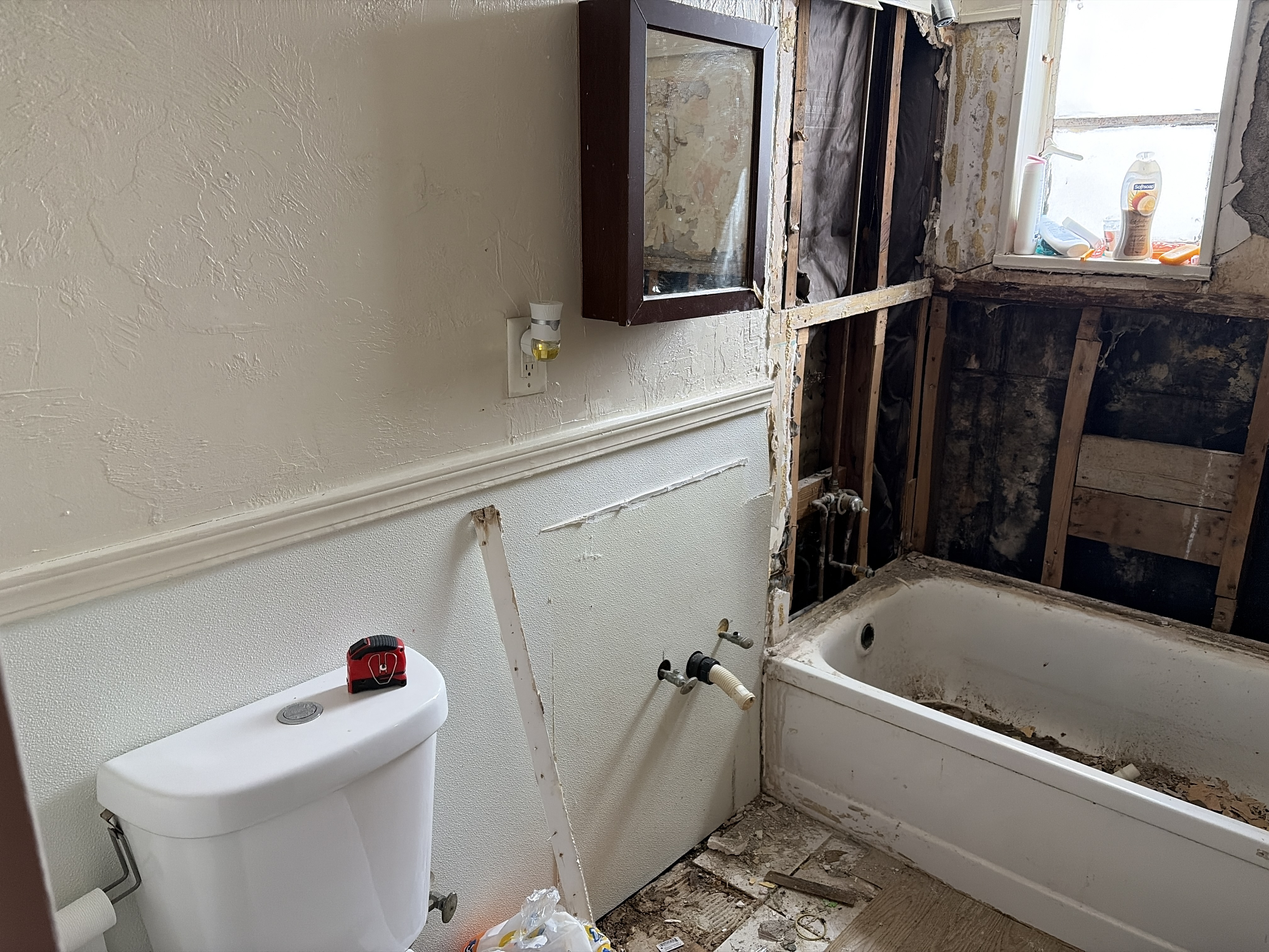 Complete Master Bathroom Renovation