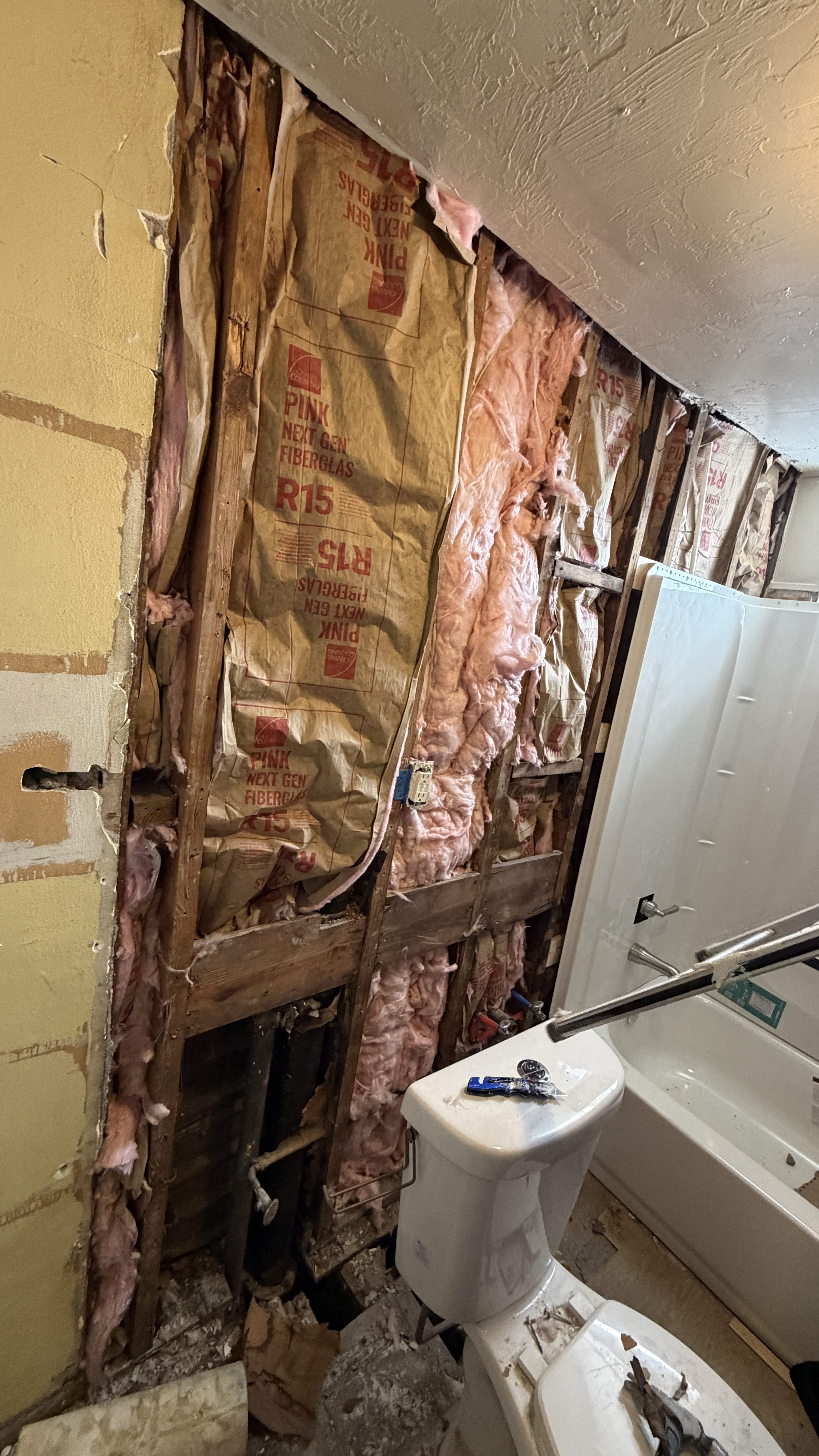 Complete Master Bathroom Renovation