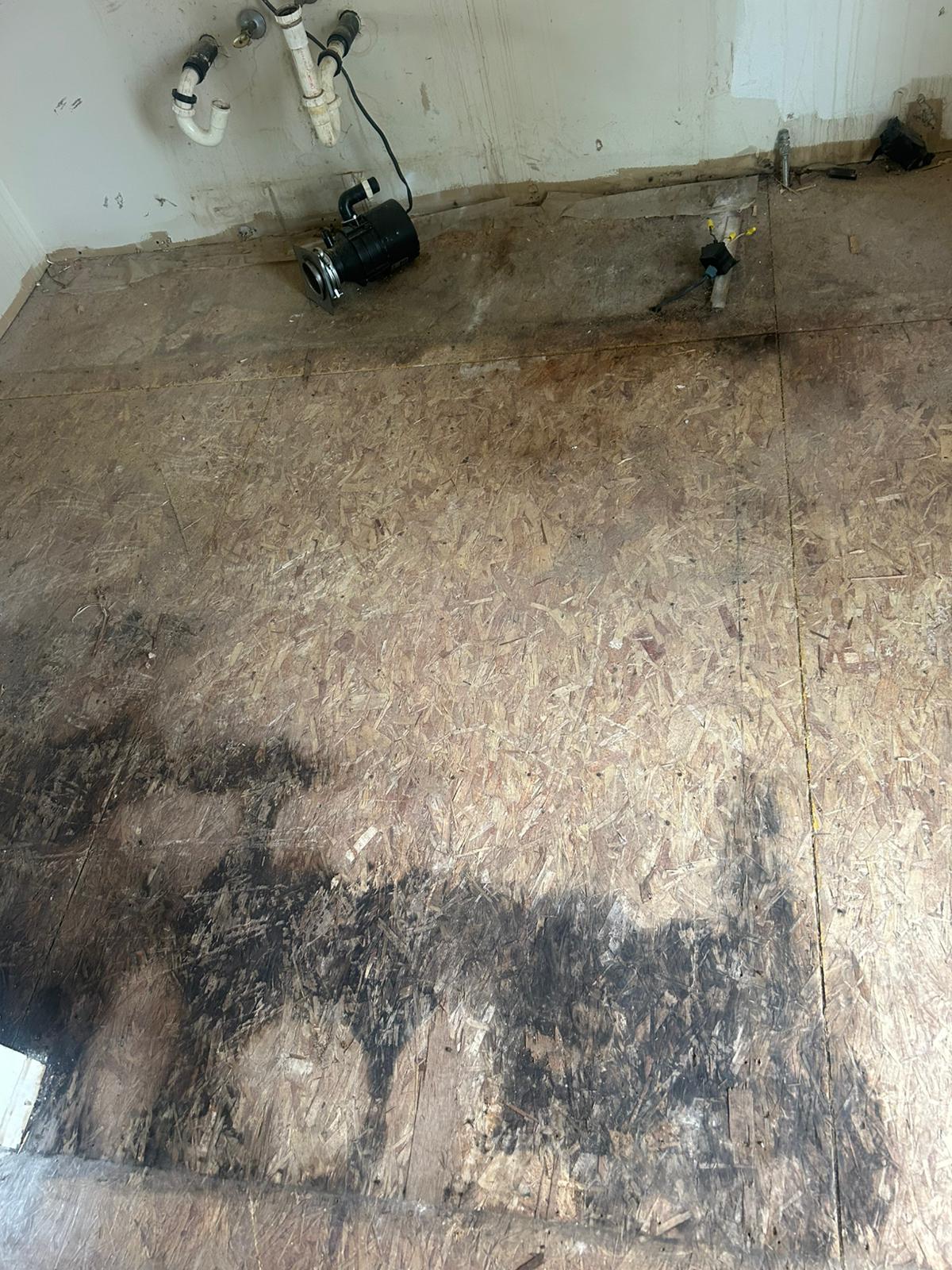 Kitchen Expansion & Open Concept Transformation