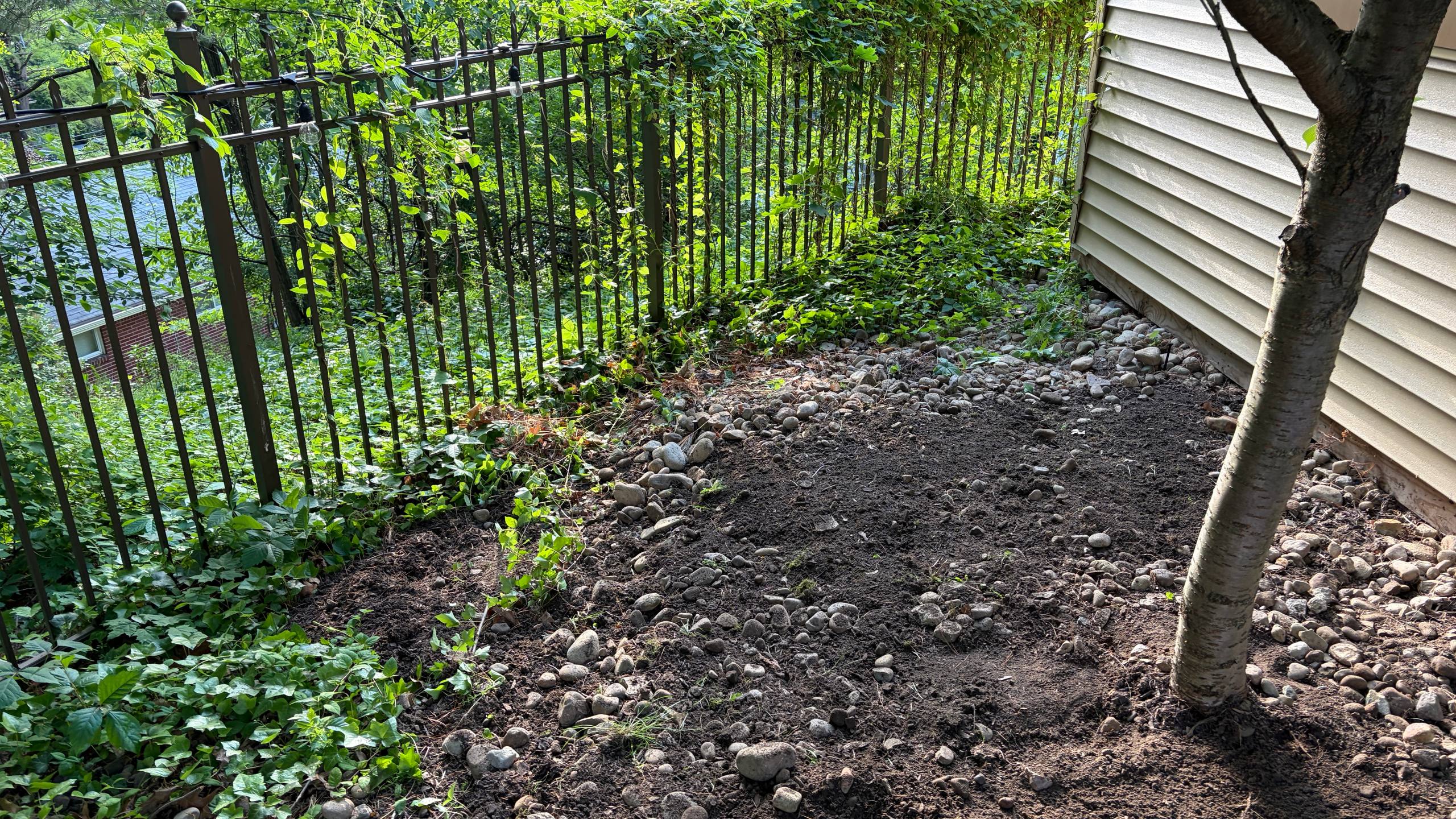 SIDE YARD PAVER PATIO TRANSFORMATION